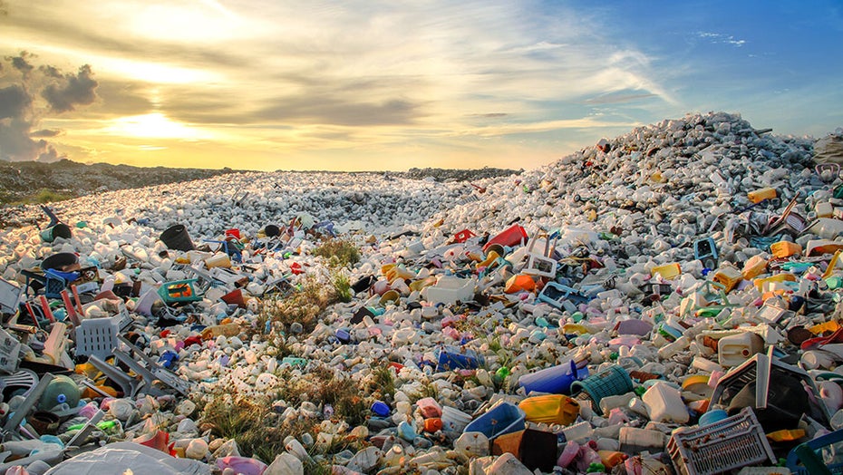 Replace Plastic: Diese kostenlose App sagt Plastik den Kampf an Replace Plastic: Diese kostenlose App sagt Plastik den Kampf an