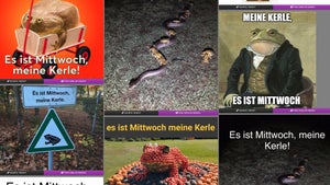 Vom Mittwochsfrosch zur Morbin’ Time: Diese Suchmaschine findet jedes Meme