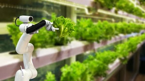 Food-Tech-Sektor: „Investoren treffen keine Fomo-Entscheidungen mehr”