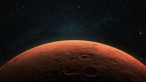 Überlebenskünstler im Weltall: Diese irdische Pflanze könnte den Mars besiedeln